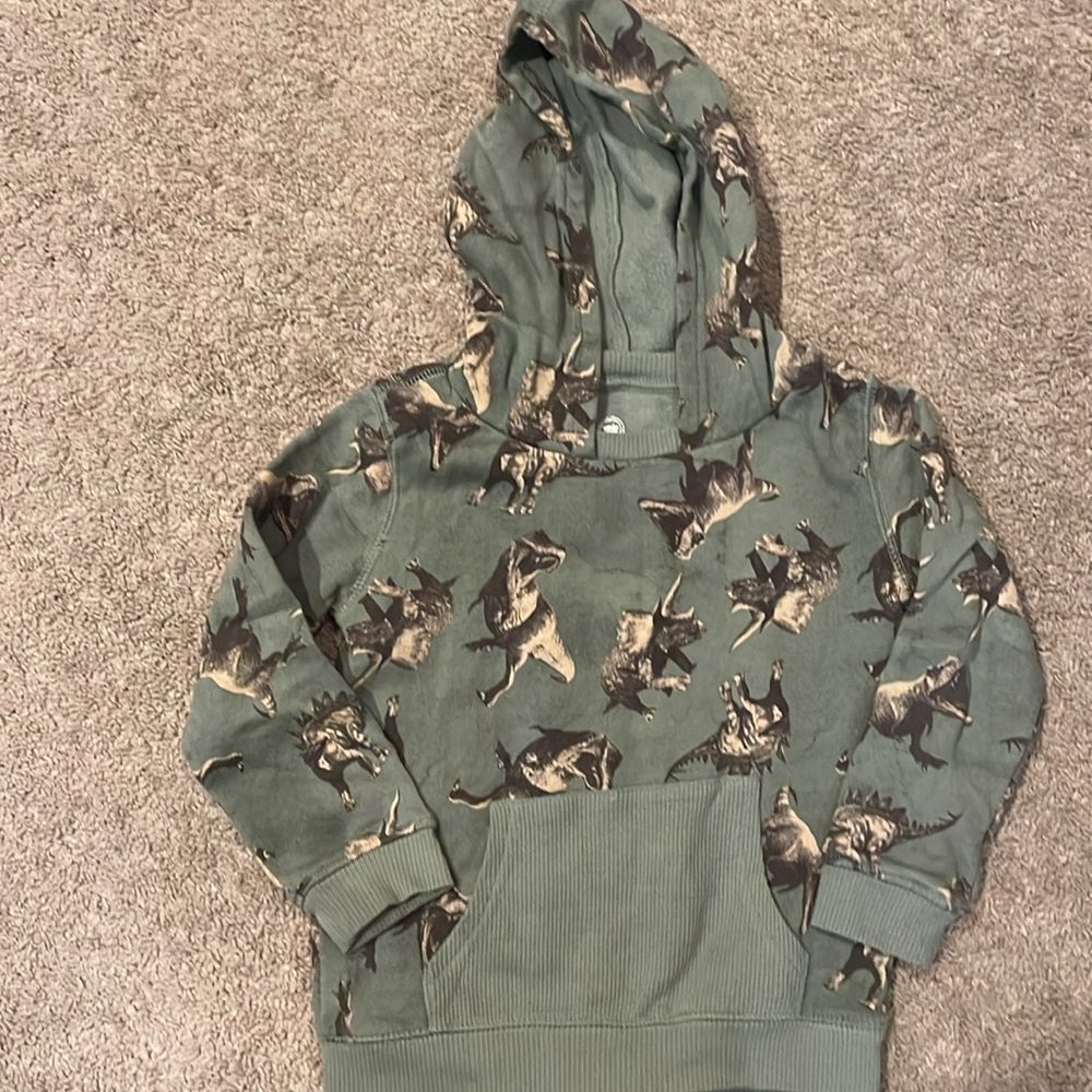 Dinosaur sweatpants and hoodie - Picture 6 of 8